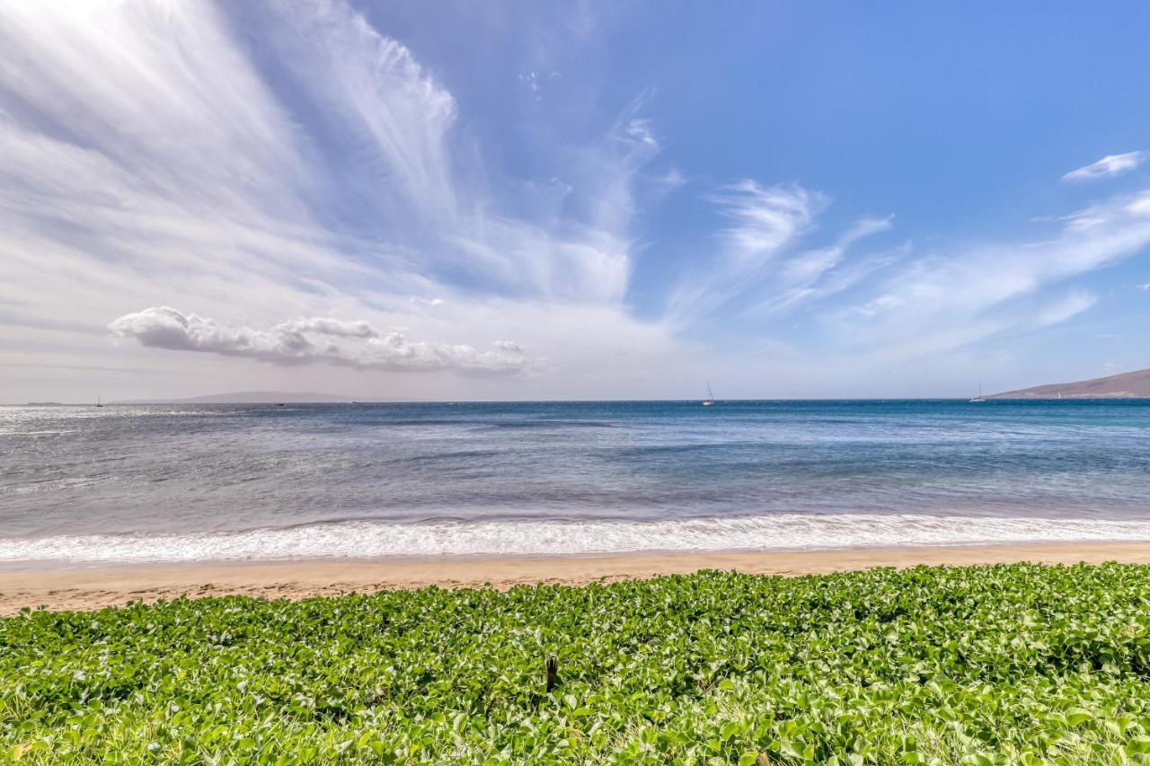 Sugar Beach Resort 224 Kihei Exterior foto