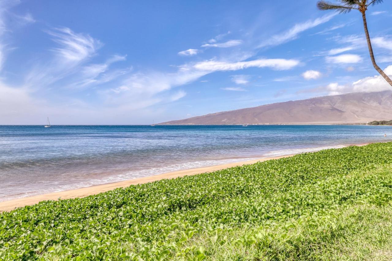 Sugar Beach Resort 224 Kihei Exterior foto